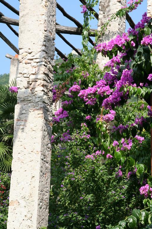 Villa Residence La Limonaia Gargnano Δωμάτιο φωτογραφία